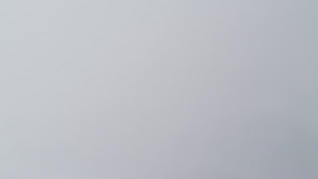 Tim Cook launch post