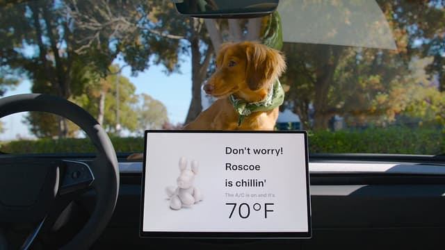 Tesla launch post