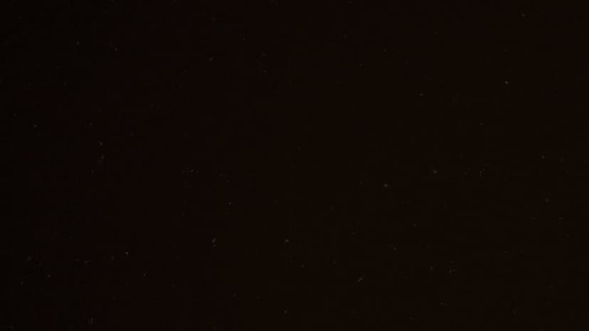Index Network launch post on X