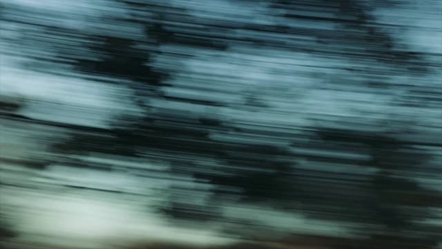Dynamic Creatures launch post