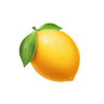 LemonSlice